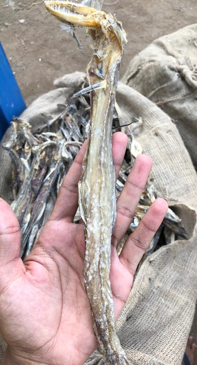 PHOTO-2019-11-14-14-10-25